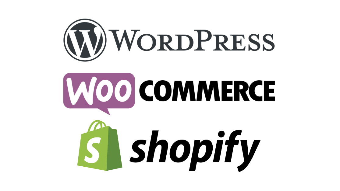 Web Development Services