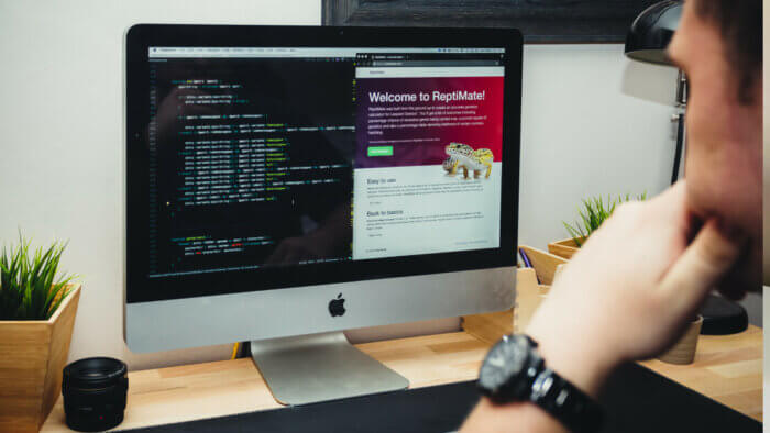 Web Development Service Makes It Easy to Start a Business