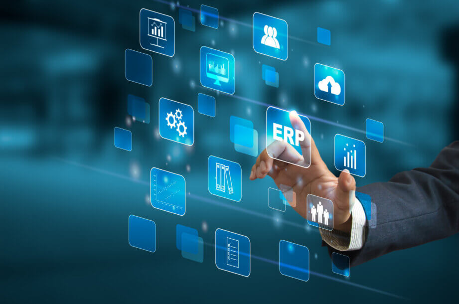 Basic Concepts of ERP: For Your Integrated Business Internal Access